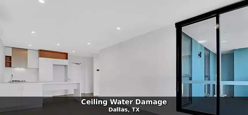 Ceiling water damage in Dallas, TX by Example City Pros