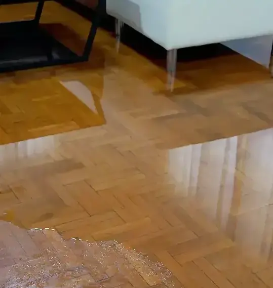 Water-damaged hardwood floor — wood floor water damage in Dallas, TX by Example City Pros