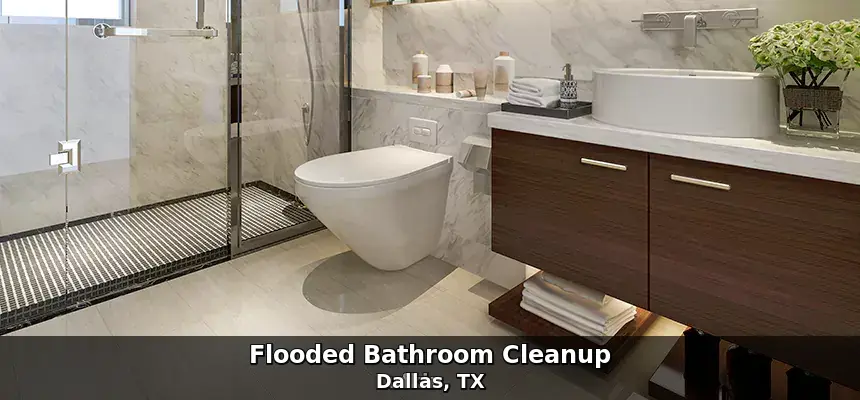 Water-damaged bathroom — flooded bathroom cleanup in Dallas, TX by Example City Pros