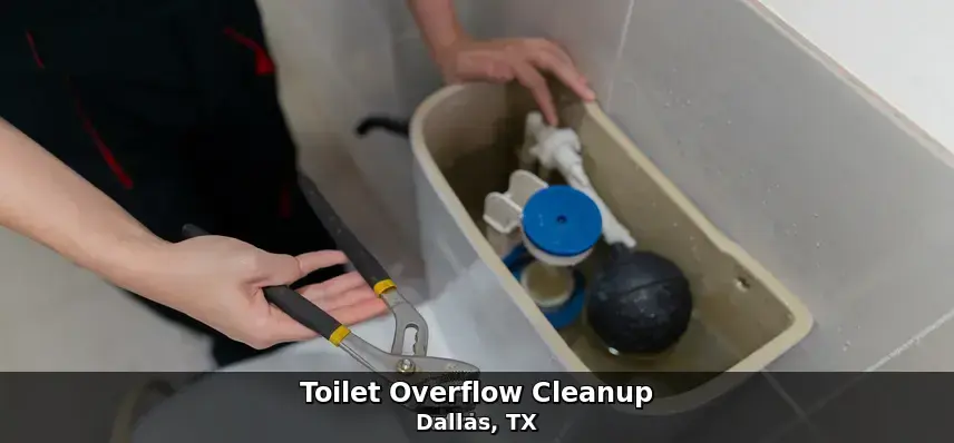 Sewage cleanup work — toilet overflow cleanup in Dallas, TX by Example City Pros