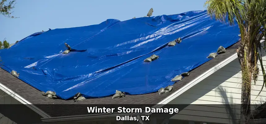 Winter storm damage in Dallas, TX by Example City Pros